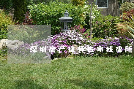 深圳房产律师去哪找律所 深圳房产律师去哪找律所