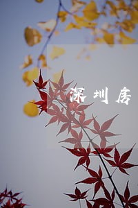 深圳房产税逾期后果 深圳房产税逾期后果