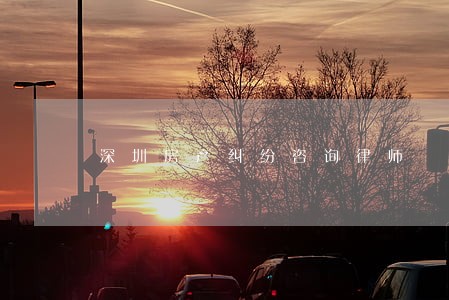 深圳房产纠纷咨询律师 深圳房产纠纷咨询律师