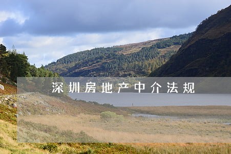 深圳房地产中介法规