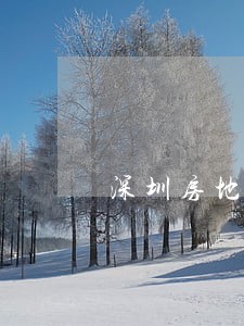 深圳房地产律师事务所 深圳房地产律师事务所