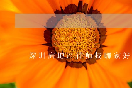 深圳房地产律师找哪家好 深圳房地产律师找哪家好