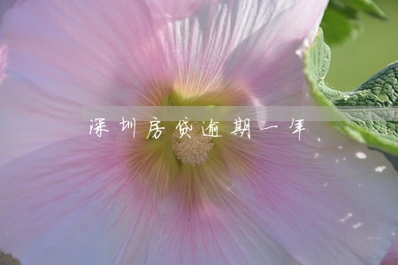 深圳房贷逾期一年 深圳房贷逾期一年