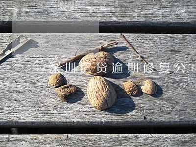 深圳房贷逾期修复公司 深圳房贷逾期修复公司