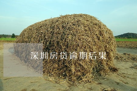 深圳房贷逾期后果 深圳房贷逾期后果