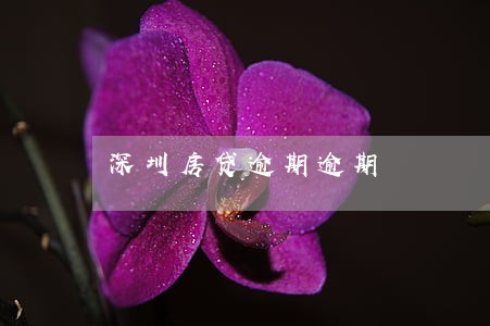 深圳房贷逾期逾期
