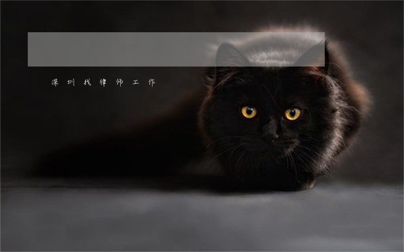 深圳找律师工作 深圳找律师工作