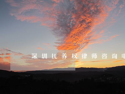 深圳抚养权律师咨询电话