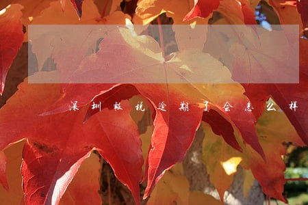深圳报税逾期了会怎么样 深圳报税逾期了会怎么样