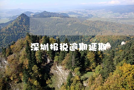 深圳报税逾期延期 深圳报税逾期延期