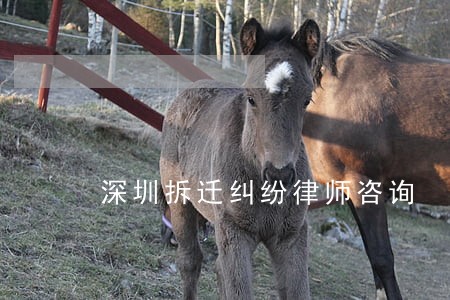 深圳拆迁纠纷律师咨询 深圳拆迁纠纷律师咨询