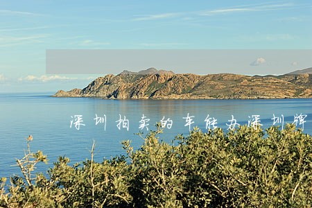 深圳拍卖的车能办深圳牌 深圳拍卖的车能办深圳牌