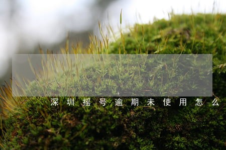 深圳摇号逾期未使用怎么办 深圳摇号逾期未使用怎么办