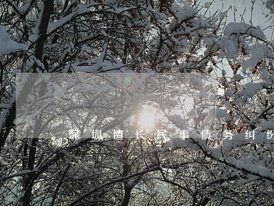 深圳擅长民事债务纠纷律师 深圳擅长民事债务纠纷律师