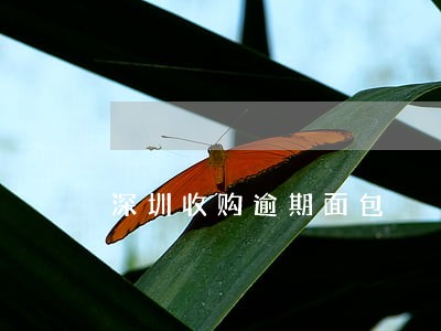 深圳收购逾期面包 深圳收购逾期面包
