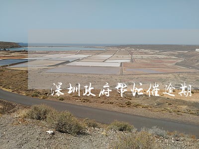深圳政府帮忙催逾期 深圳政府帮忙催逾期