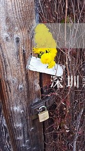 深圳新能源指标逾期怎么办 深圳新能源指标逾期怎么办
