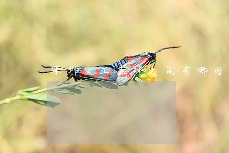 深圳施工法律咨询有哪些 深圳施工法律咨询有哪些