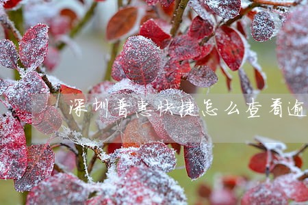 深圳普惠快捷怎么查看逾期