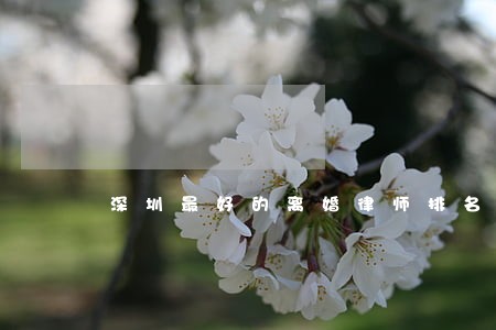 深圳最好的离婚律师排名 深圳最好的离婚律师排名