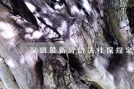 深圳最新劳动法社保规定 深圳最新劳动法社保规定