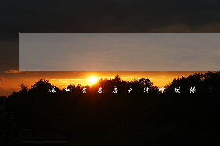 深圳有名房产律师团队 深圳有名房产律师团队