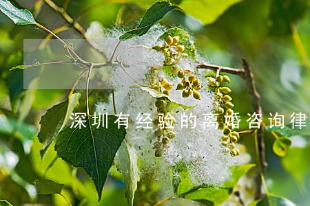 深圳有经验的离婚咨询律师 深圳有经验的离婚咨询律师