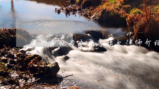 深圳本地专办债务清欠律师介绍 深圳本地专办债务清欠律师介绍