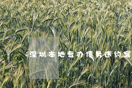 深圳本地专办债务违约案律师 深圳本地专办债务违约案律师