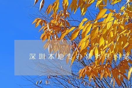 深圳本地专办债务违约案律师排名