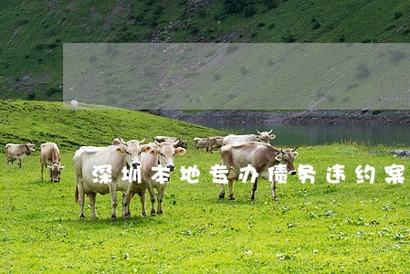 深圳本地专办债务违约案律师费用