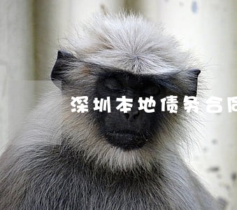深圳本地债务合同律师介绍 深圳本地债务合同律师介绍