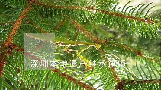 深圳本地遗产继承律师 深圳本地遗产继承律师