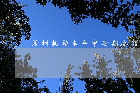 深圳机动车年审逾期办理流程 深圳机动车年审逾期办理流程