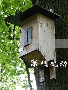 深圳机动车逾期检验了怎么办 深圳机动车逾期检验了怎么办