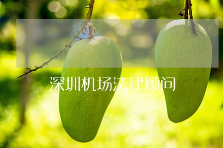 深圳机场法律顾问