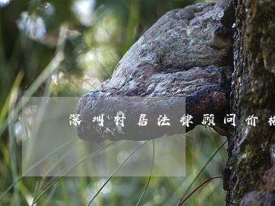 深圳村居法律顾问价格表 深圳村居法律顾问价格表