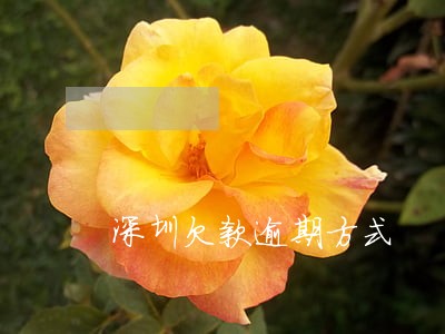 深圳欠款逾期方式 深圳欠款逾期方式