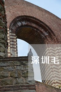 深圳毛豆新车逾期