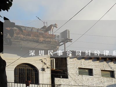 深圳民事合同纠纷律师 深圳民事合同纠纷律师