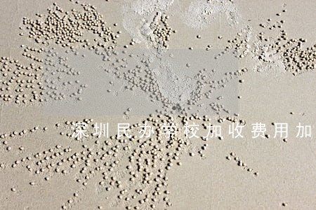深圳民办学校加收费用加课违法吗 深圳民办学校加收费用加课违法吗
