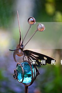 深圳民投逾期 深圳民投逾期