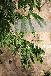 深圳水电费逾期会上征信吗 深圳水电费逾期会上征信吗