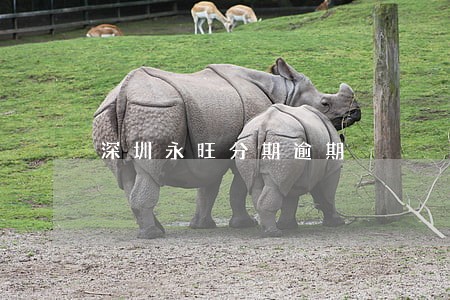 深圳永旺分期逾期 深圳永旺分期逾期