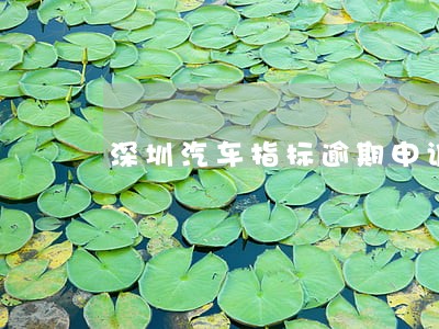 深圳汽车指标逾期申诉 深圳汽车指标逾期申诉