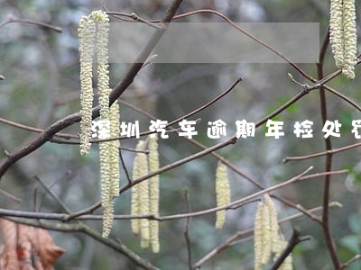 深圳汽车逾期年检处罚 深圳汽车逾期年检处罚