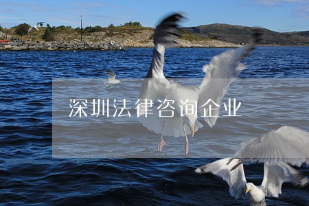 深圳法律咨询企业 深圳法律咨询企业