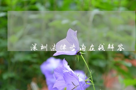 深圳法律咨询在线解答 深圳法律咨询在线解答