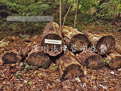深圳法律咨询收费 深圳法律咨询收费