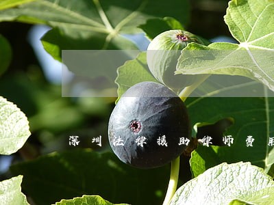 深圳法律援助律师费用 深圳法律援助律师费用